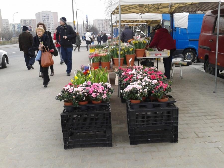 Wiosna. I jutro Dzień Kobiet
