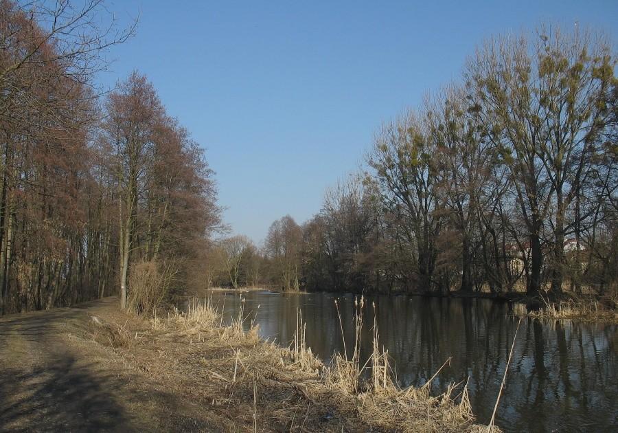 Jeziorka w Konstancinie