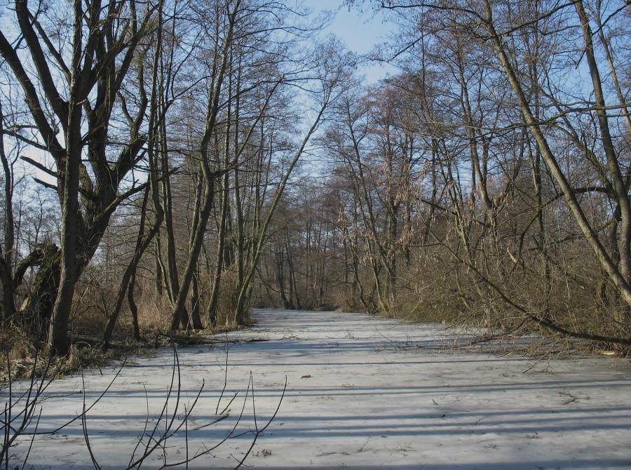 Rozlewiska jeszcze pod lodem