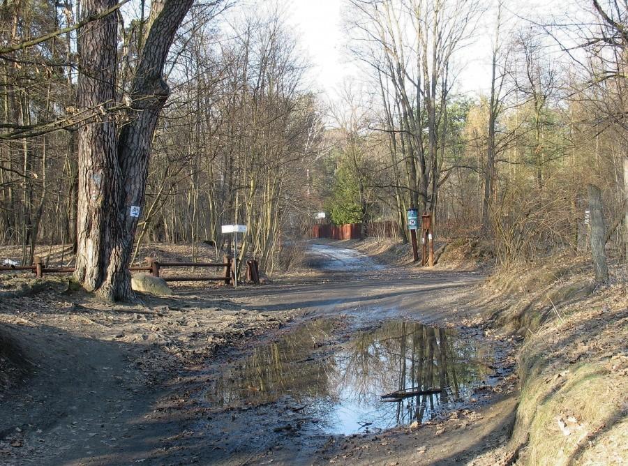 Skrzyżowanie przy polanie