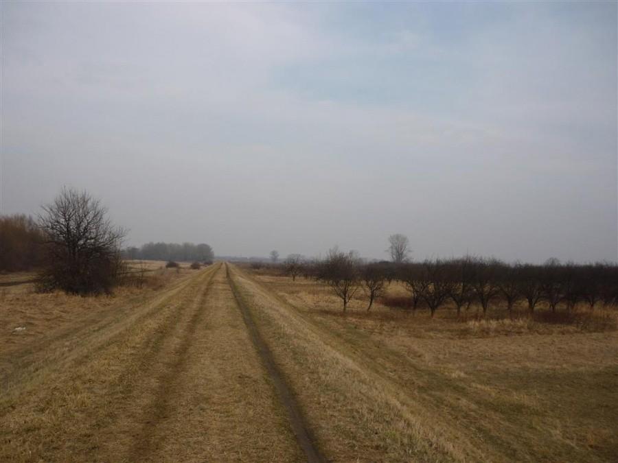 Wał Wiślany od Otwocka Wlk.