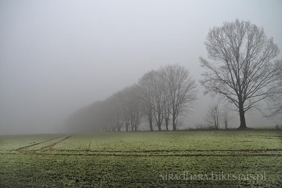 okolice Pisarzowic spowite mgłą