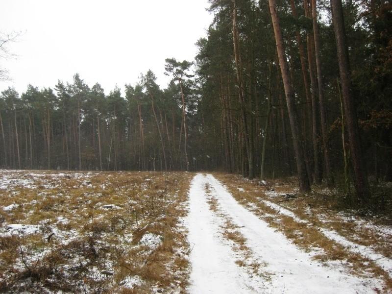 Rano padał śnieg