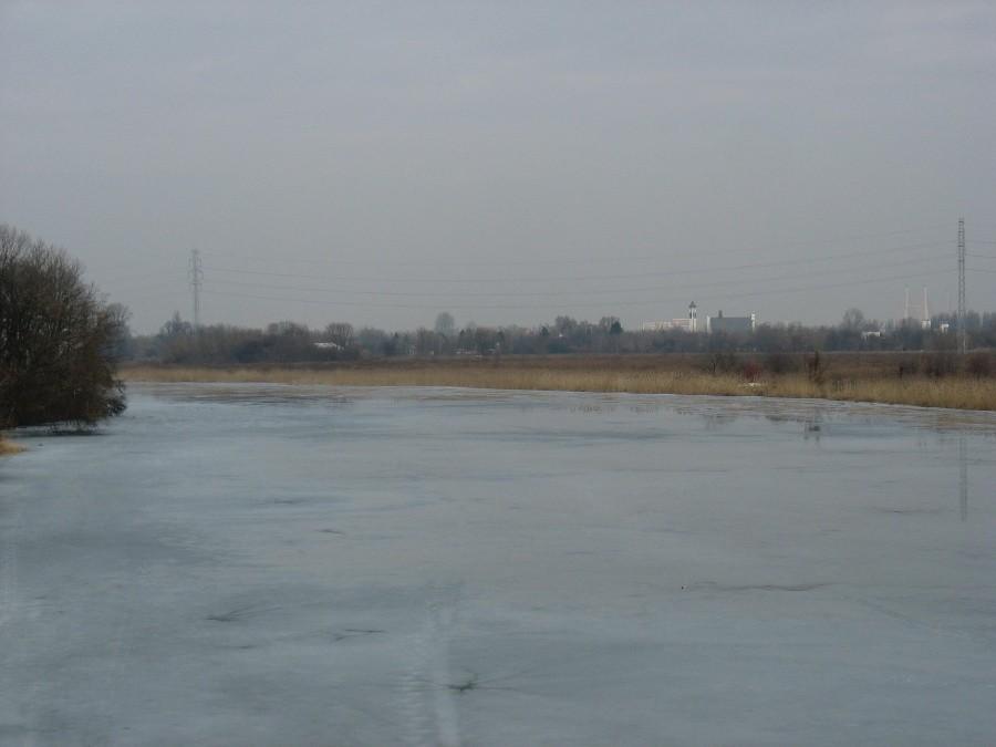 Jeziorko Czerniakowskie – płn. część