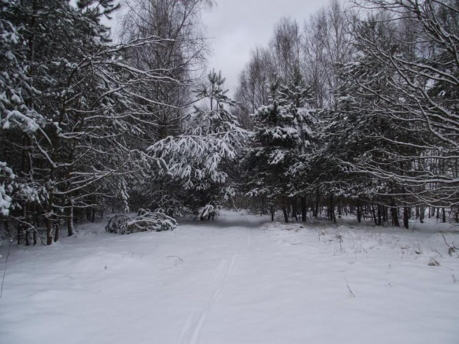 Waypoint #3099