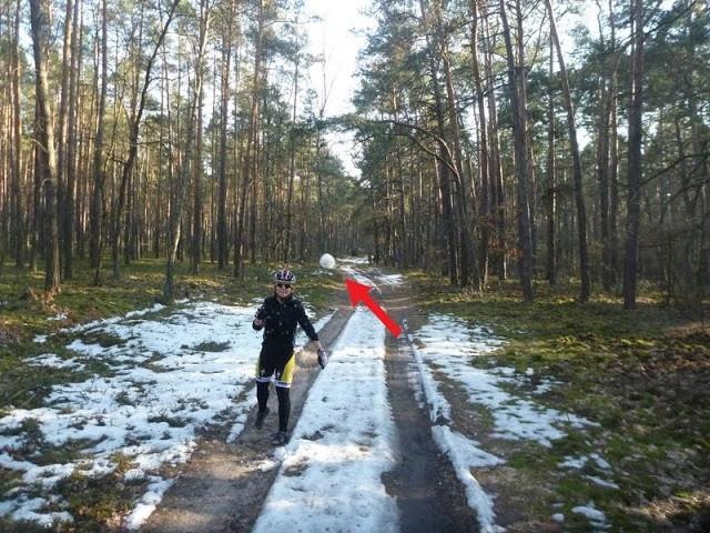 Czy to ostatnia, za przeproszeniem, gała w tym roku? (dla słabszych dodałem strzałkę)