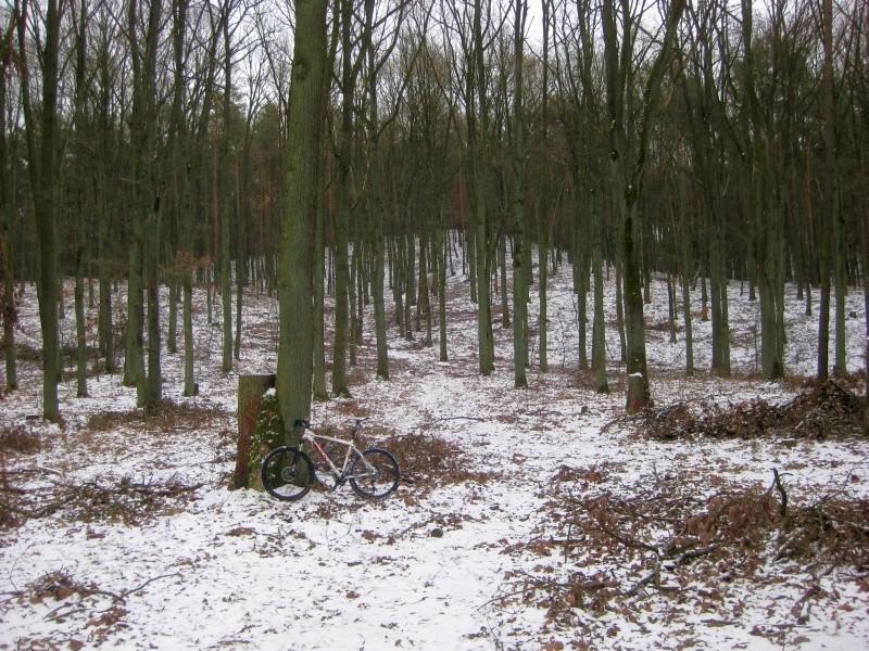 Dziewicza Góra - pagórki