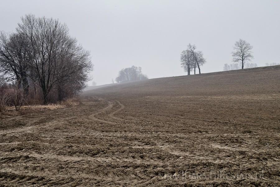 za jedną siną dalą druga dal