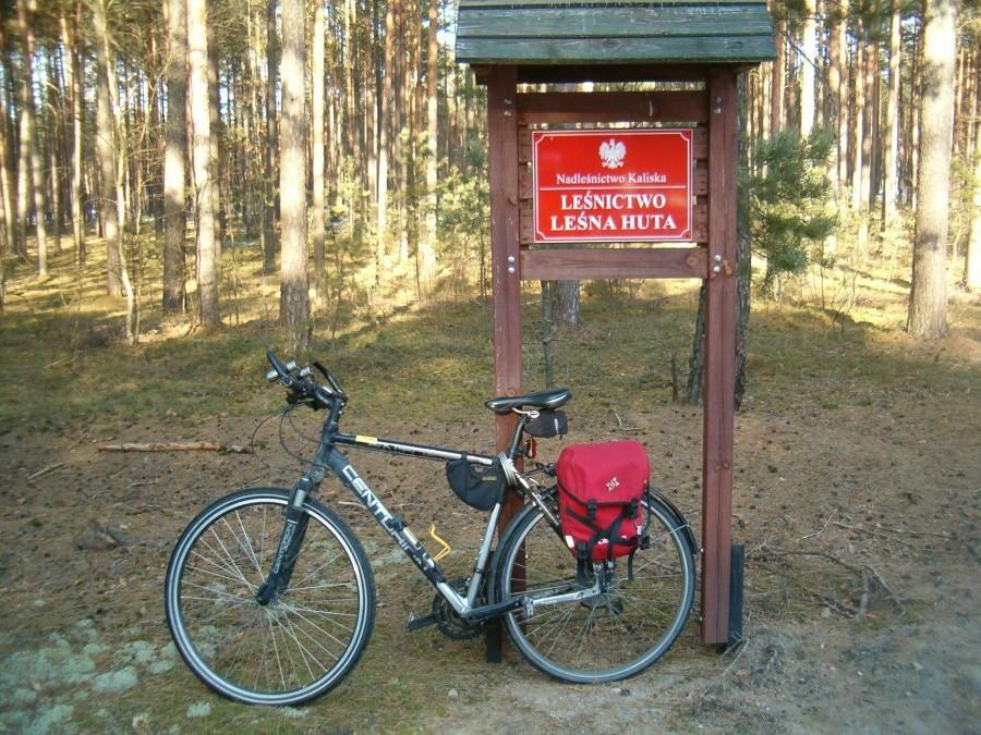 09-03-2013. Sobotnia rowerówka. Leśnictwo Leśna Huta. Nadleśnictwo Kaliska.