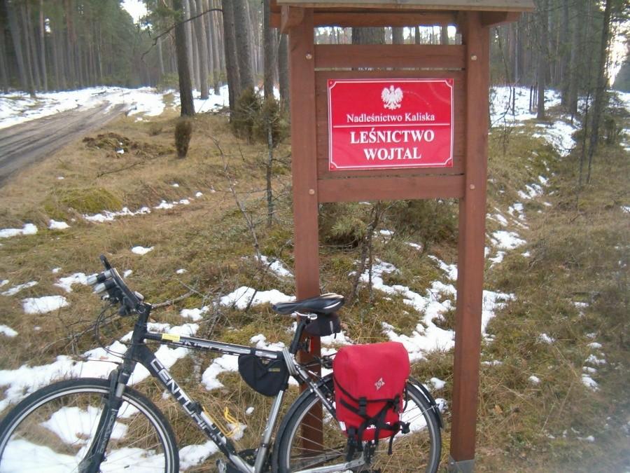 09-03-2013. Sobotnia rowerówka. Leśnictwo Wojtal. Nadleśnictwo Kaliska.