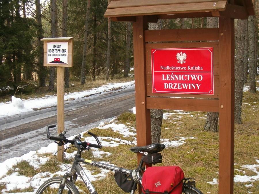 09-03-2013. Sobotnia rowerówka. Leśnictwo Drzewiny. Nadleśnictwo Kaliska.