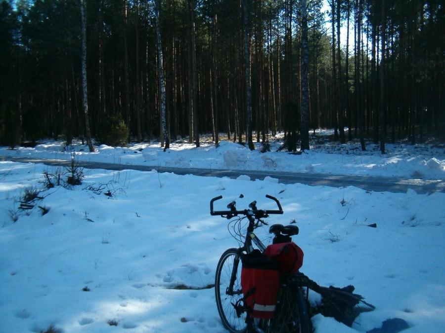 09-03-2013. Sobotnia rowerówka. Przy drodze leśnej do Wieck. Jak widać śniegu w lesie jeszcze dużo.