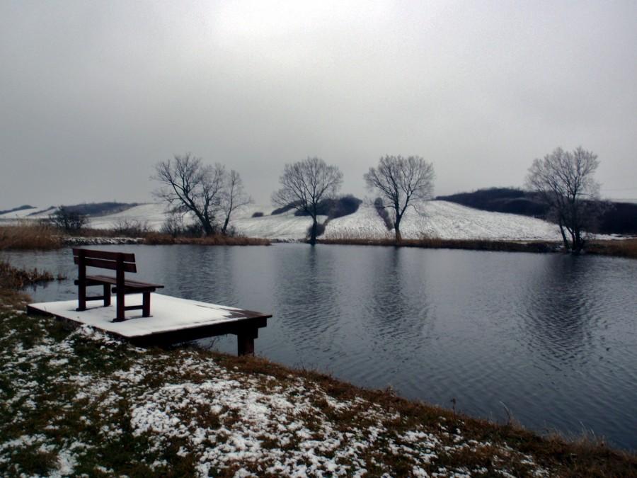 Ławka nad stawem w Turowie