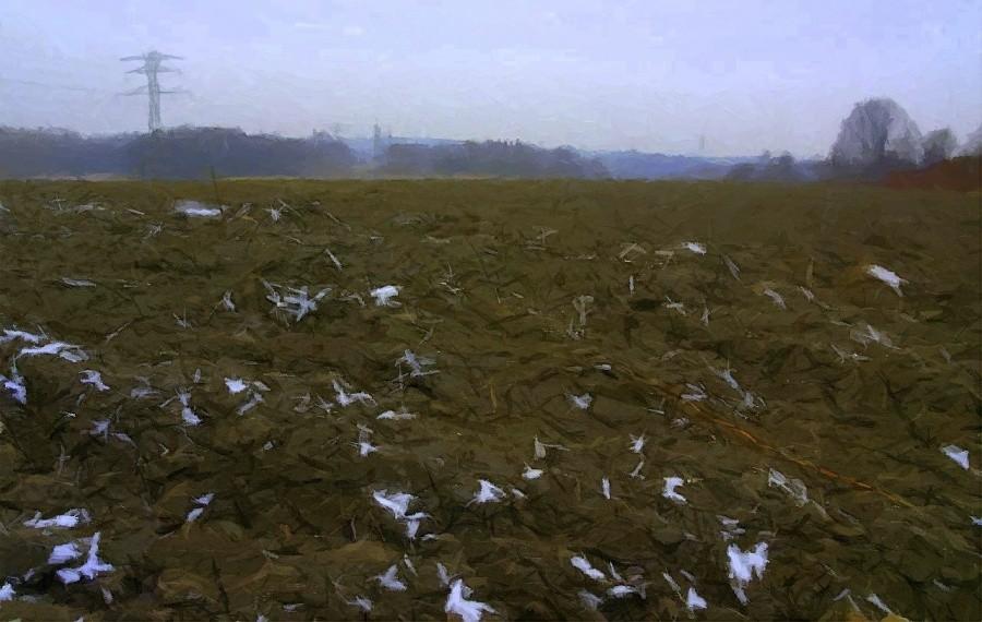 Znowu widać śnieg...