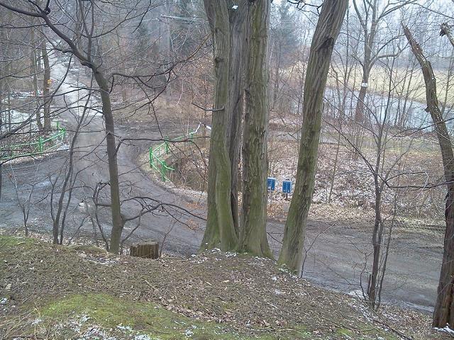 Widok z gródka