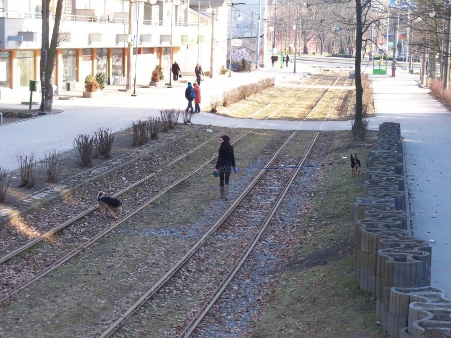 RUCH NA TOROWISKU :-)