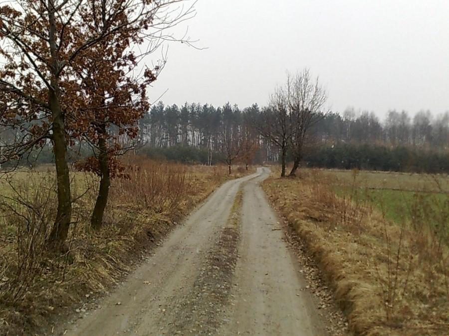Parę kilometrów po szutrach, piasku i błocie.