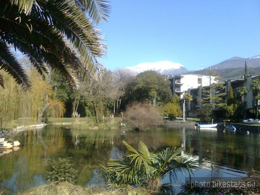 palmy