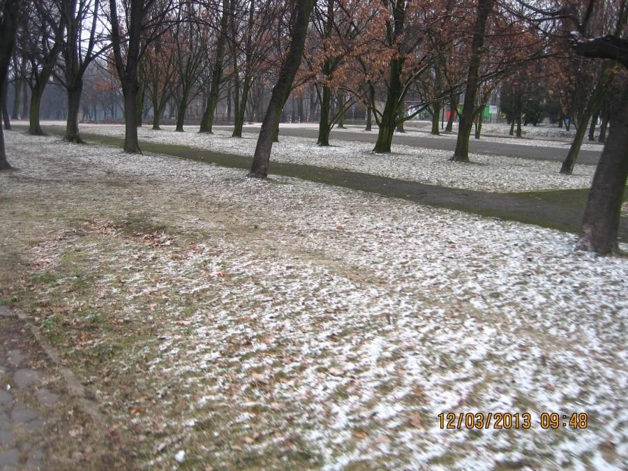 Park przyprószony marcowym śniegiem
