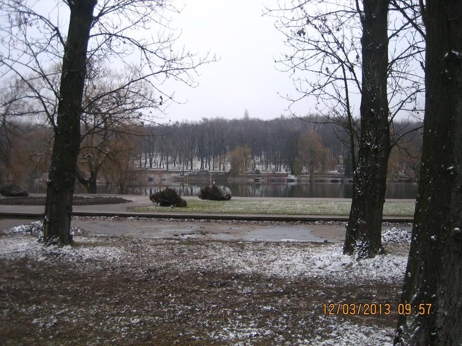 w Parku Śląskim