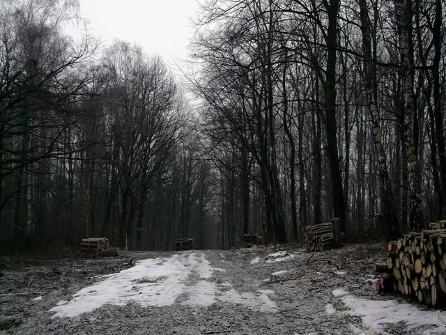 Trochę smutne zdjęcie. Ale tak właśnie dzisiaj było - trochę smutno.