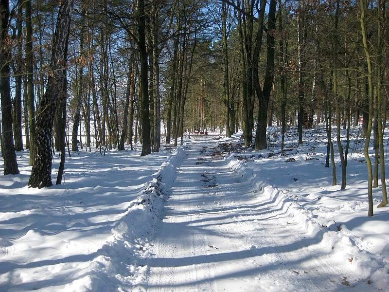 dziś w terenie było tylko troszkę