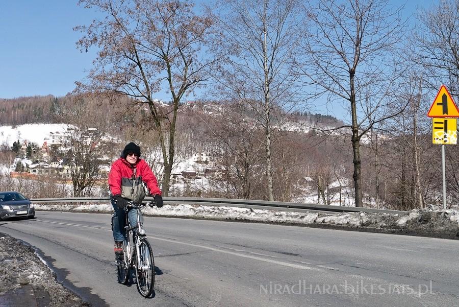 Kajman na drodze to pewny znak wiosny