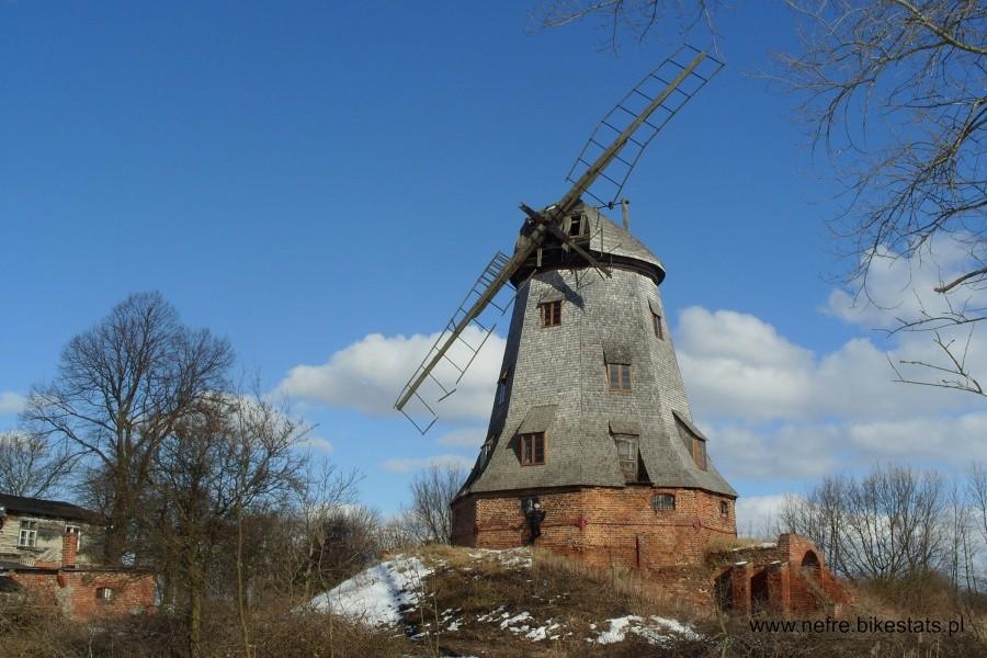 Monumentalny, XIX-wieczny wiatrak typu holenderskiego w Palczewie