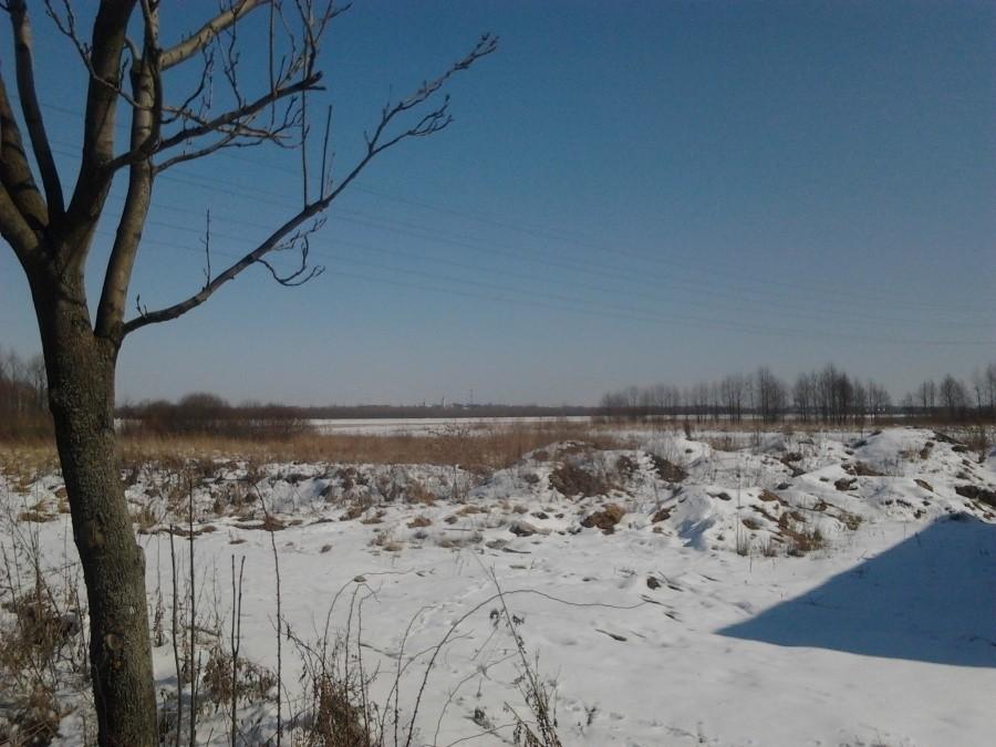 Panorama Zduńskiej Woli