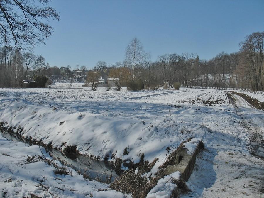 Błonia natolińskie