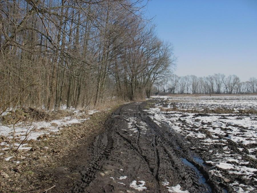 Wiosenne błotko