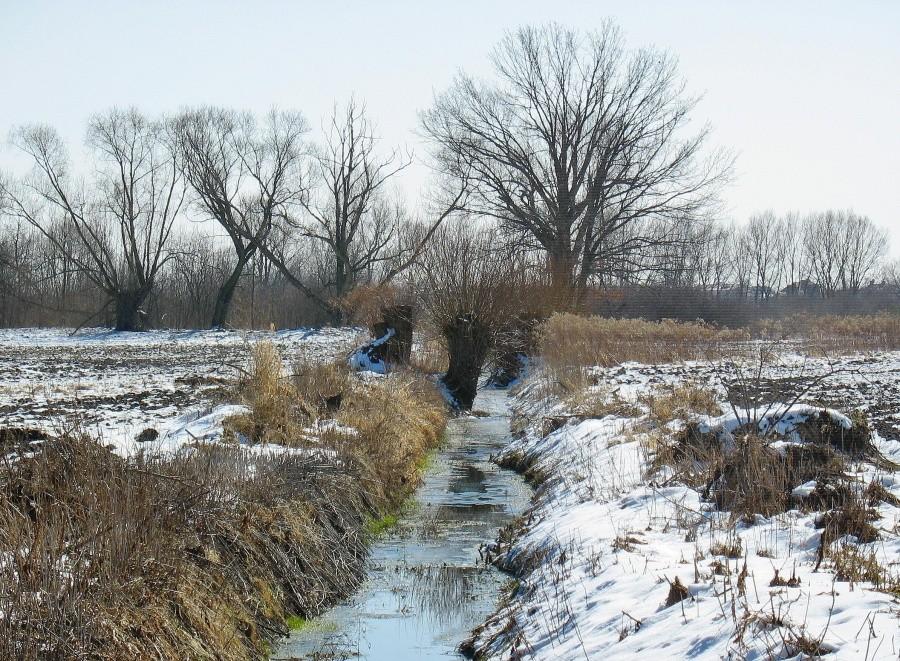 Błonia natolińskie