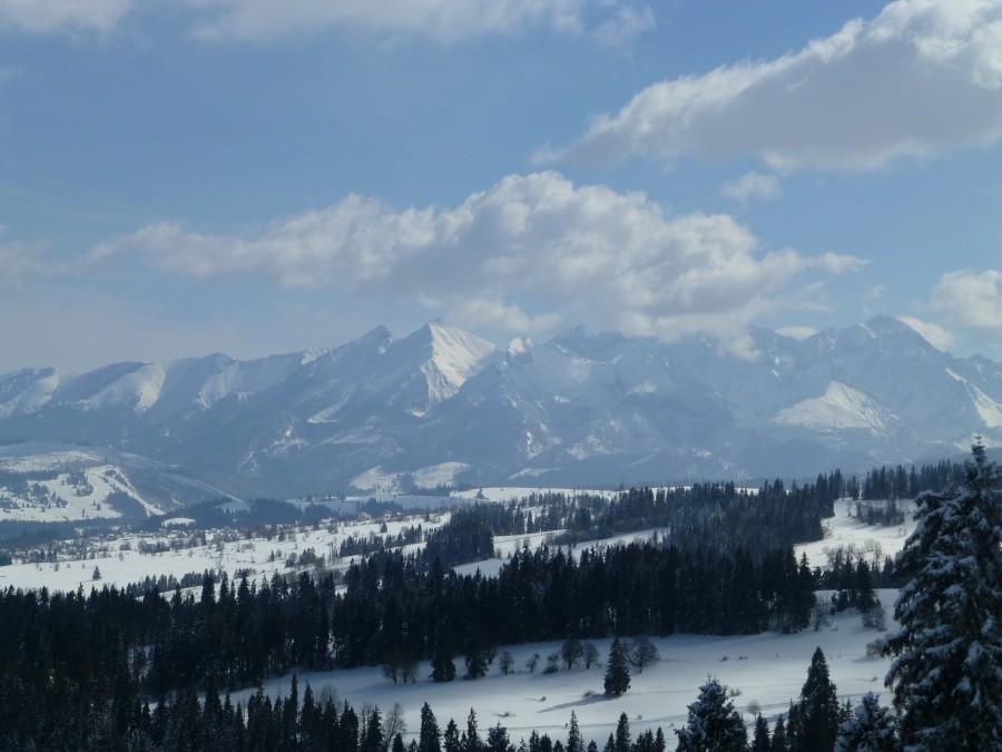 Tatry widziane z Kotelnicy