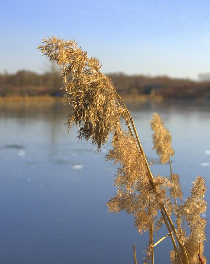 Żabie doły... w końcu dotarłem....