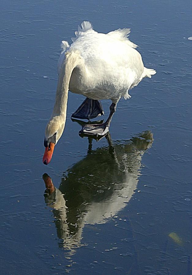 Jesus Christ Superstar....