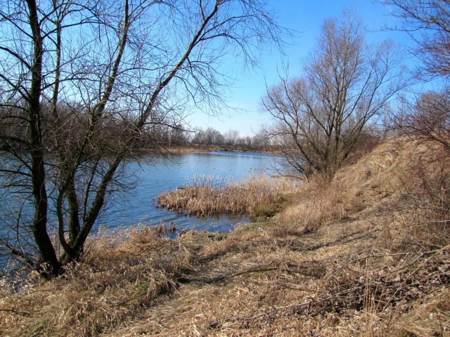 Stawy w Nieboczowach