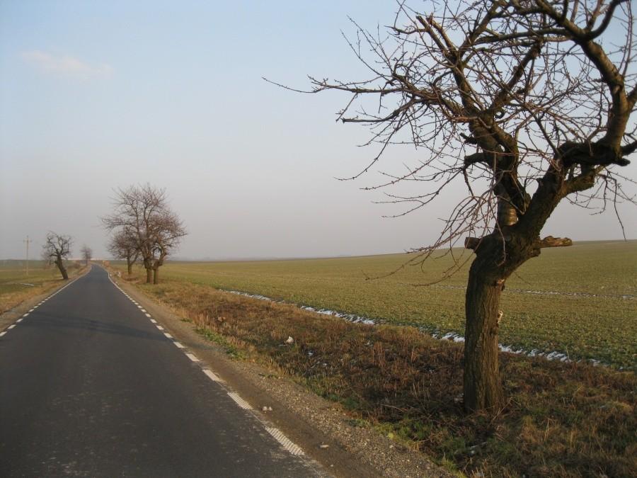 Lekki uśmiech Wiosny w jej pierwszym kalendarzowym dniu