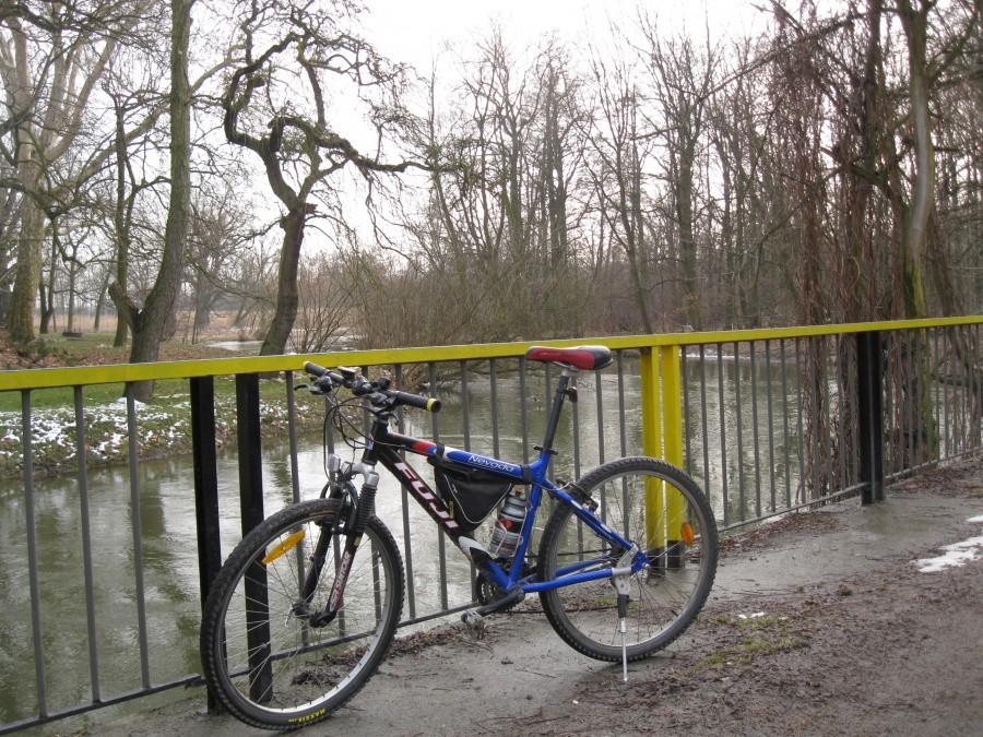 Nad Bystrzycą - mostek za Samotworem w kierunku Gałowa