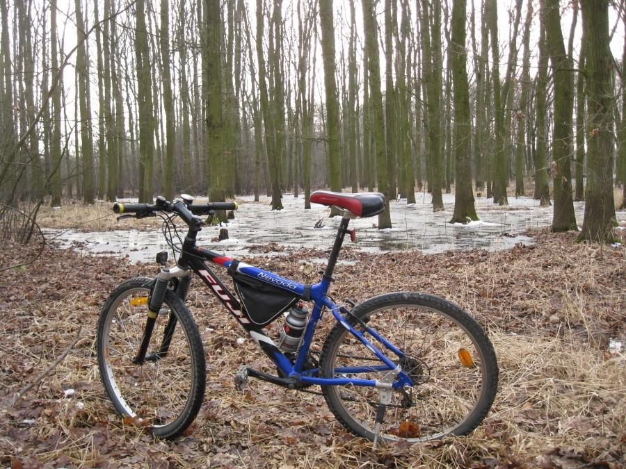 W PK Doliny Bystrzycy wciąż panują raczej zimowe klimaty...