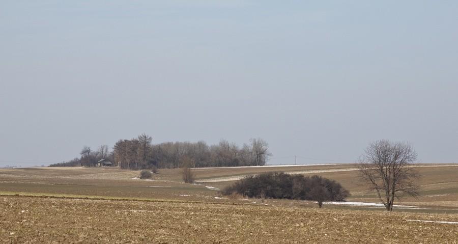Polny krajobraz