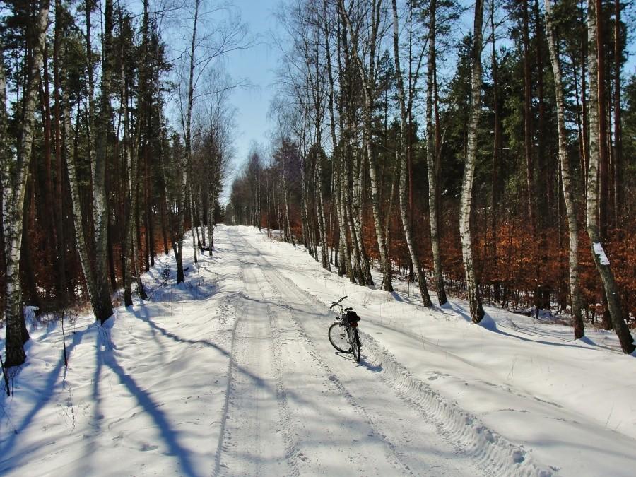 Zimowa wiosna.