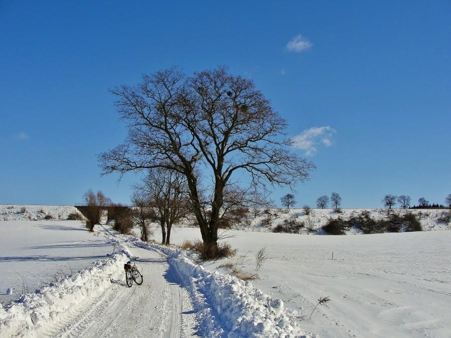 Zima wiosną.