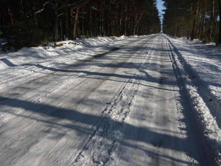 Zima w pełnej krasie, ślisko, bardzo ślisko