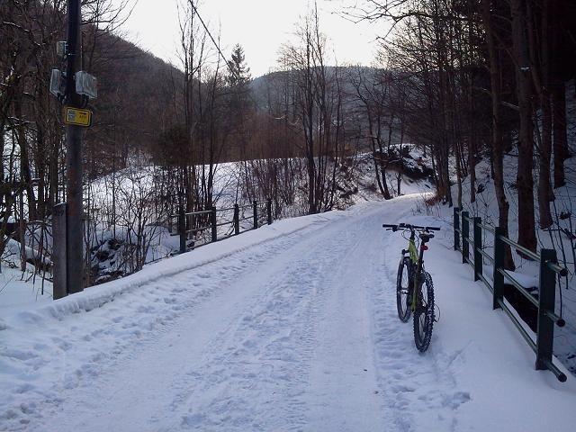 Podjazd na Jaworowy