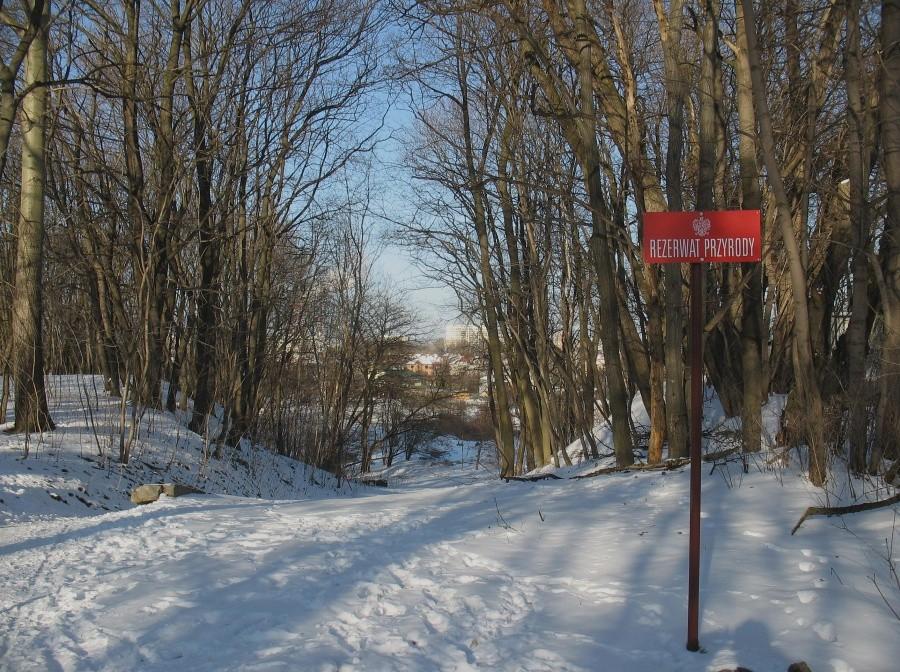 Rezerwat przyrody Skarpa Ursynowska