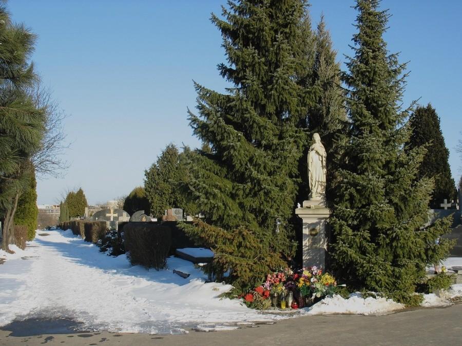 Figura MB, powstańców listopadowych na cmentarzu służewskim