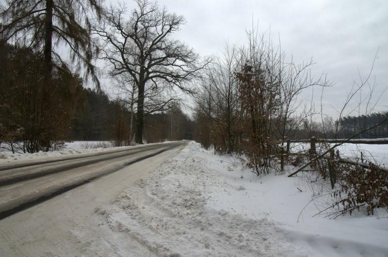 Wiosna panie dzieju...