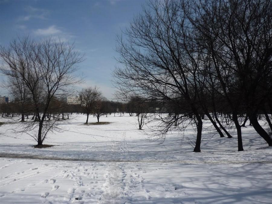 Zima trzyma! Park przy Dworcu Zachodnim.
