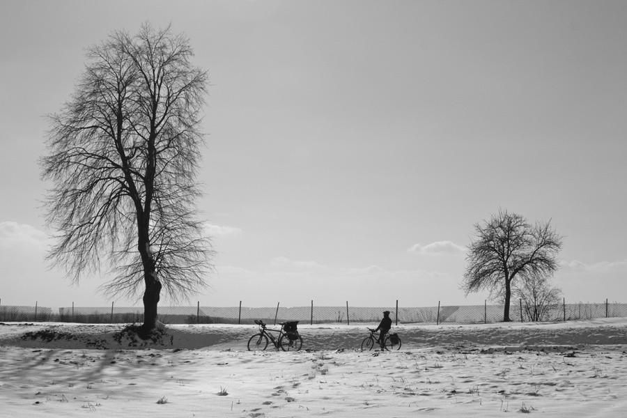 Przed Dębicą