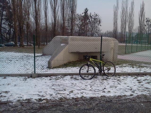 bunkier Danuta